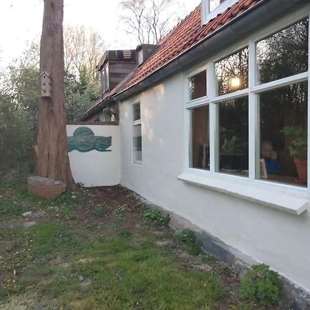 فيلا Vogelvrij Vierhuizen المظهر الخارجي الصورة