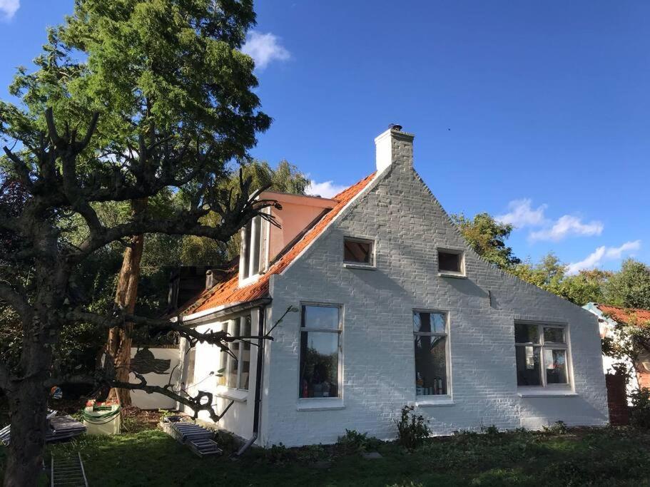 فيلا Vogelvrij Vierhuizen المظهر الخارجي الصورة