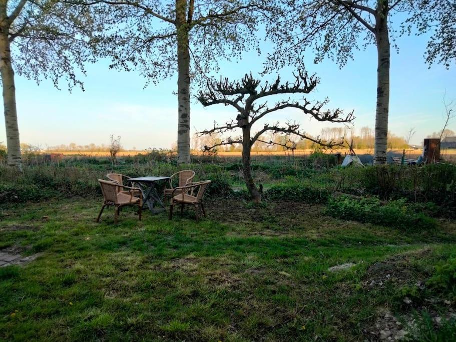 فيلا Vogelvrij Vierhuizen المظهر الخارجي الصورة