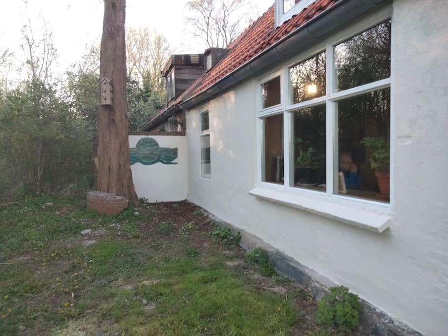 فيلا Vogelvrij Vierhuizen المظهر الخارجي الصورة